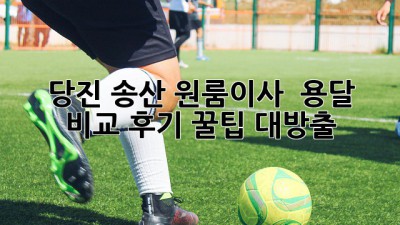 당진 송산 원룸이사 🚚 용달 비교 후기: 꿀팁 대방출🍯
