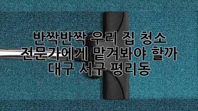 ✨반짝반짝✨ 우리 집 청소, 전문가에게 맡겨봐야 할까? (대구 서구 평리동)